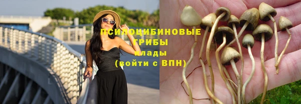 мяу мяу кристалл Осинники