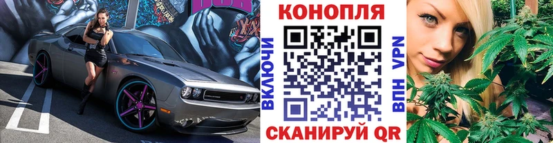 Каннабис семена Купить закладки Щёлкино